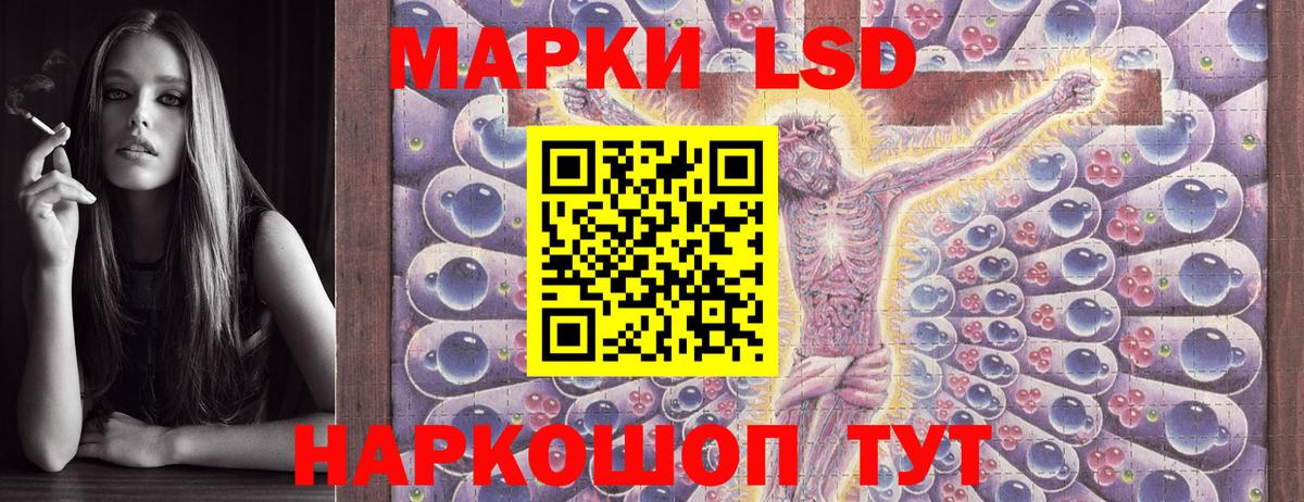 Марки N-bome 1,5мг Лесной