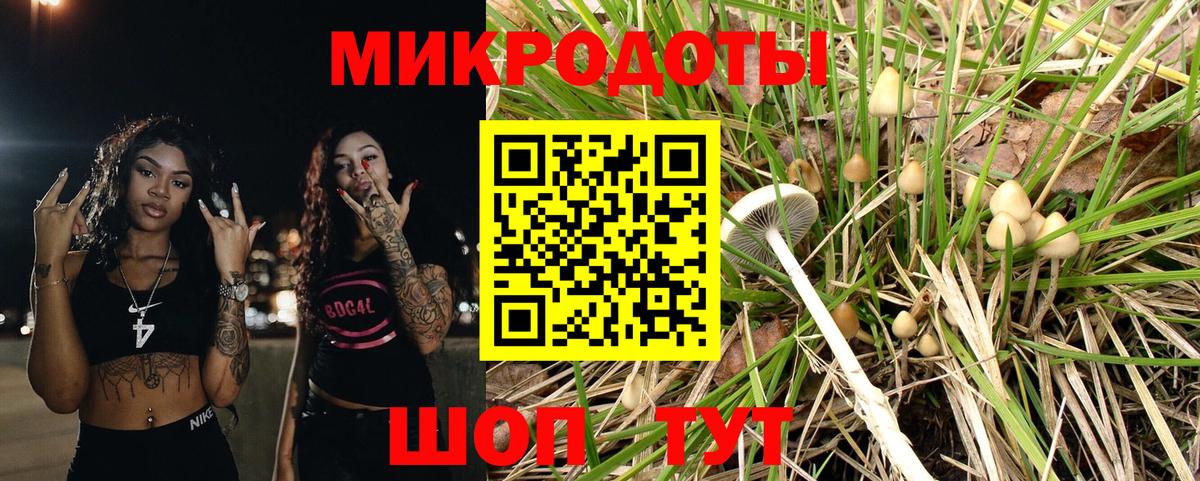 Галлюциногенные грибы MAGIC MUSHROOMS  Вход с VPN  Лесной 