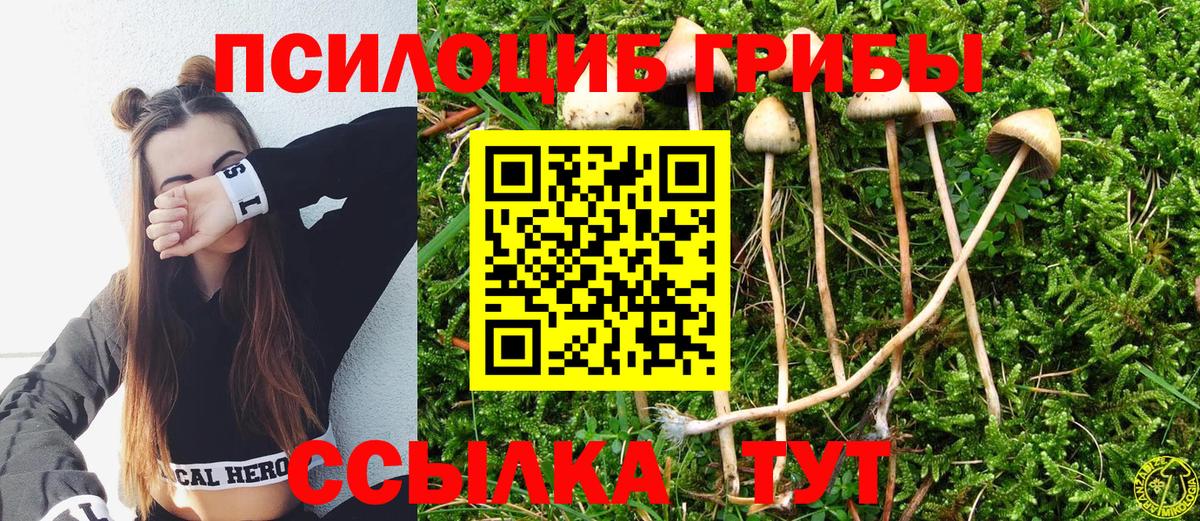 Галлюциногенные грибы Psilocybe Лесной